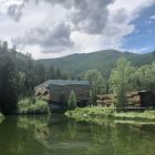 Creating a Vibrant From the Top Alumni Network